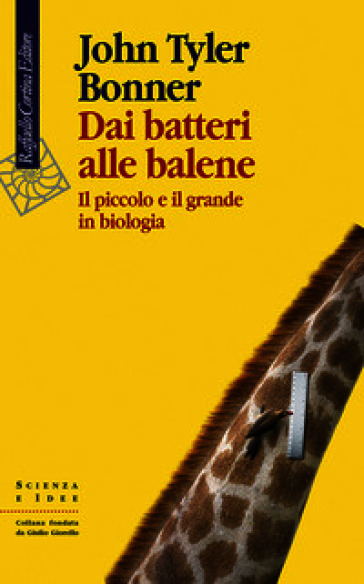 Dai batteri alle balene. Il piccolo e il grande in biologia. Ediz. illustrata