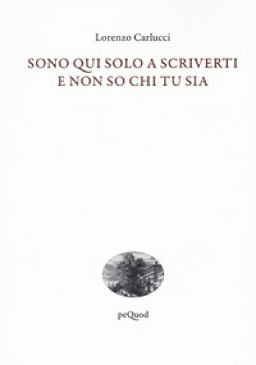 Sono Qui Solo A Scriverti E Non So Chi Tu Sia