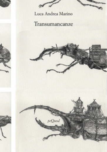 Transumancanze