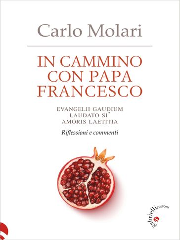In cammino con papa Francesco