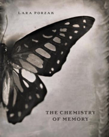 The chemistry of memory