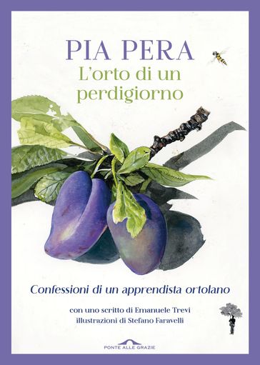 L'orto di un perdigiorno