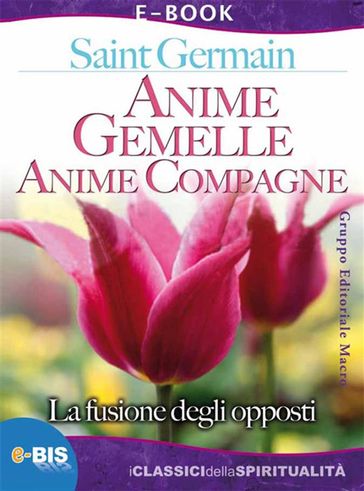Anime gemelle, anime compagne