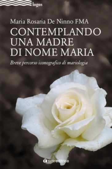 Contemplando una madre di nome Maria. Breve percorso iconografico di mariologia
