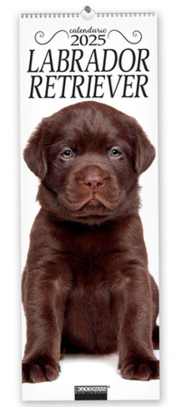 Labrador Retriever. Calendario 2025. Long