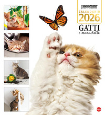 Gatti e marachelle. Calendario 2026