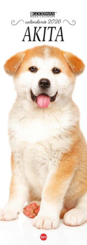 Akita Inu. Calendario 2026 Long
