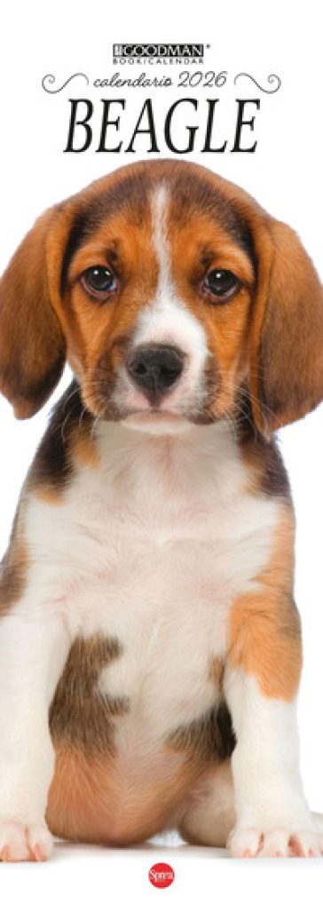Beagle.Calendario 2026. Long