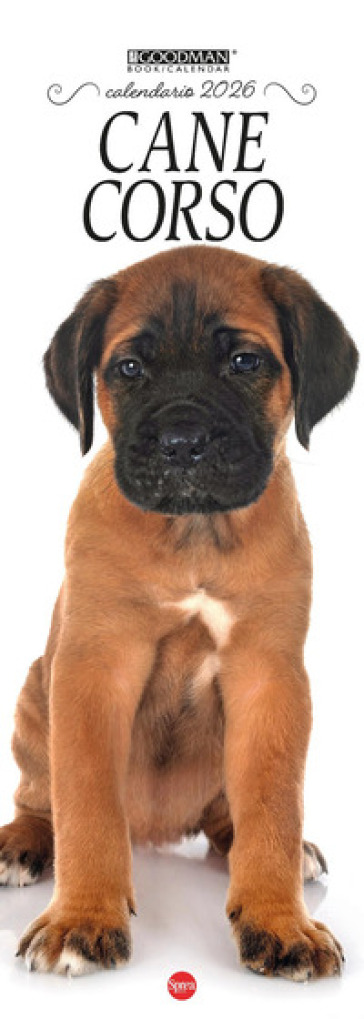 Cane corso. Calendario 2026. Long