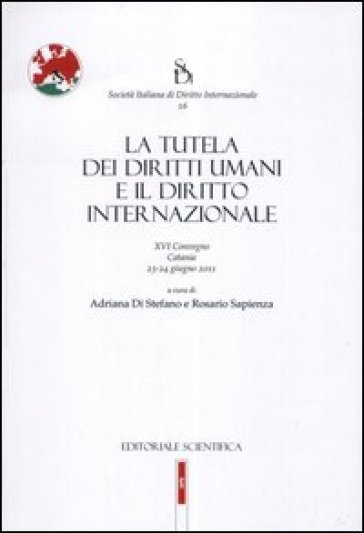 La Tutela Dei Diritti Umani E Il Diritto Internazionale