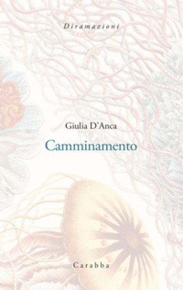 Camminamento