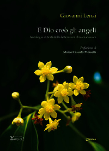 E Dio creò gli angeli. Antologia di testi della letteratura ebraica classica