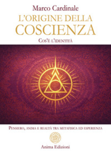 L'origine della coscienza. Cos'è l'identità. Pensiero, anima e realtà tra metafisica ed esperienza