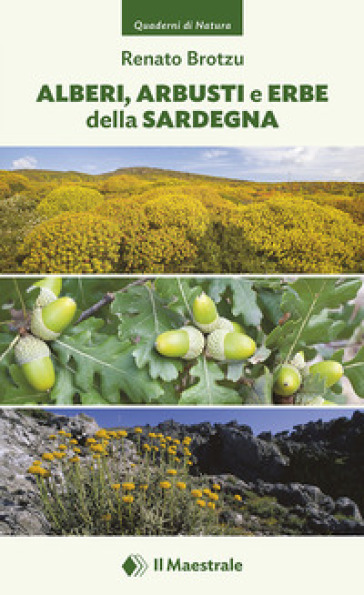 Alberi, arbusti e erbe della Sardegna. Ediz. a colori
