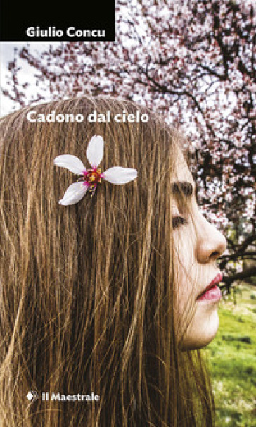 Cadono dal cielo-0
