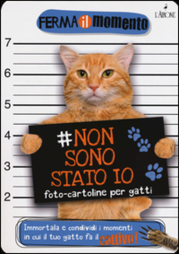 Non sono stato io. Foto-cartoline per gatti