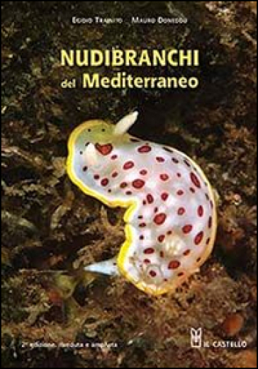 Nudibranchi del Mediterraneo. Ediz. illustrata
