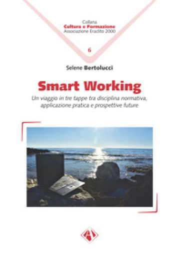 Smart Working. Un Viaggio In Tre Tappe Tra Disciplina Normativa, Applicazione Pratica E Prospettive Future