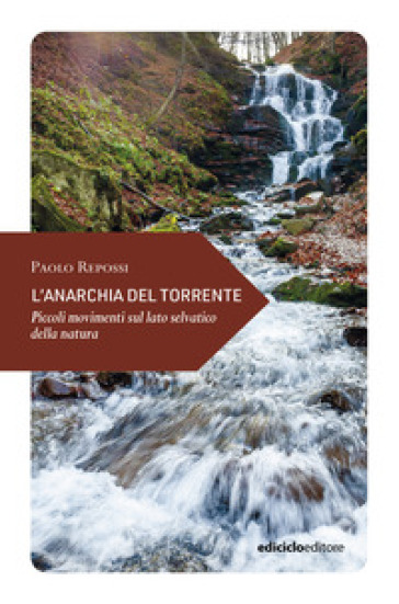 L'anarchia del torrente. Piccoli movimenti sul lato