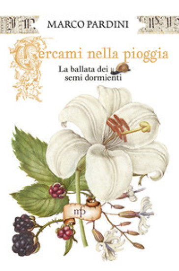 Cercami nella pioggia. La ballata dei semi dormienti