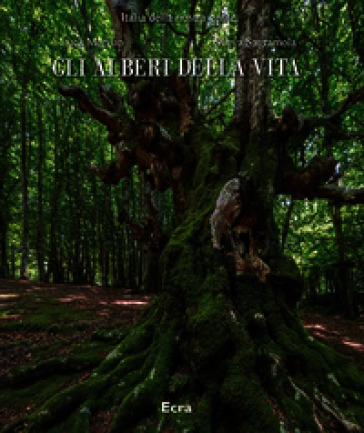 Gli alberi della vita. Ediz. illustrata
