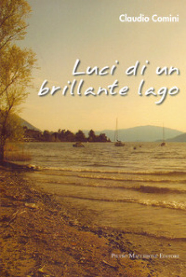 Luci di un brillante lago