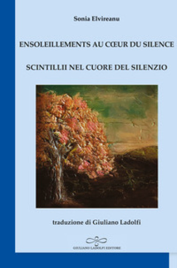 Ensoleillements au cœur du silence-Scintillii nel cuore del silenzio