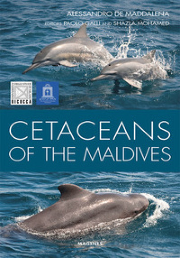 Cetaceans of the Maldives