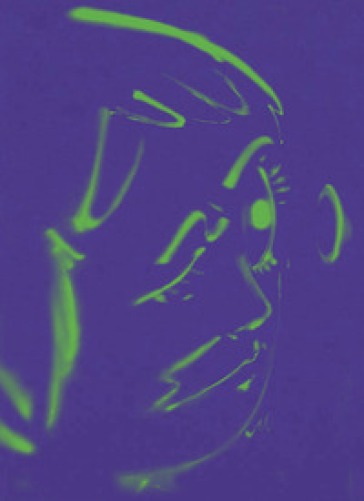 Hoda Kashiha: slipping on fragmented shapes. Ediz. inglese e francese