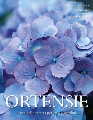 Ortensie