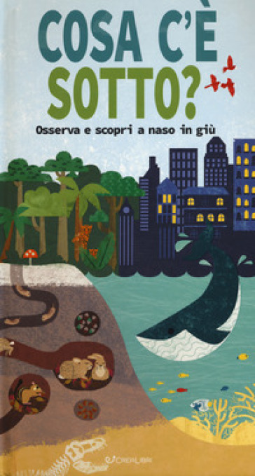 Cosa C'è Sotto? Osserva E Scopri A Naso In Giù. Ediz. A Colori