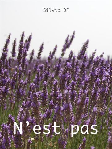 N'est pas