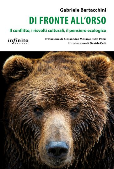 Di fronte all'orso