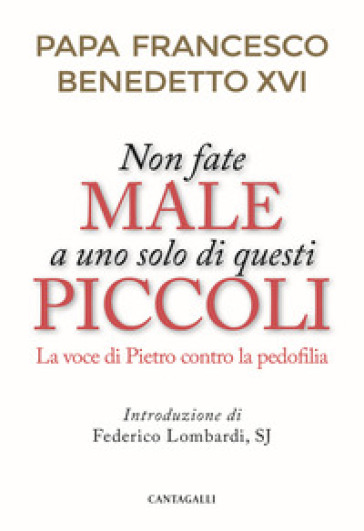 Non fate male a uno solo di questi piccoli. La voce di Pietro contro la pedofilia