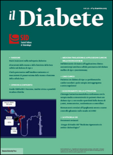 Il diabete. Vol. 27/4