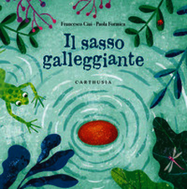 Il sasso galleggiante. Ediz. a colori