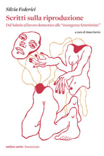 Scritti sulla riproduzione. Dal salario al lavoro domestico alle «insorgenze femministe»