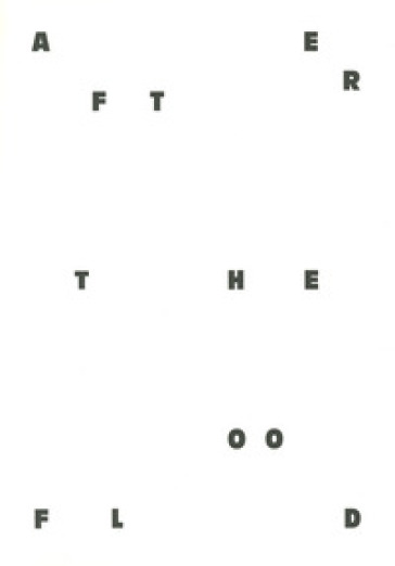 After the Flood. Images for disaster risk reduction. Ediz. italiana e inglese