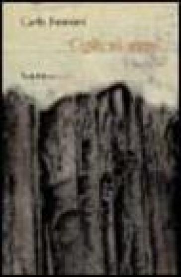 Ciglio di scavo