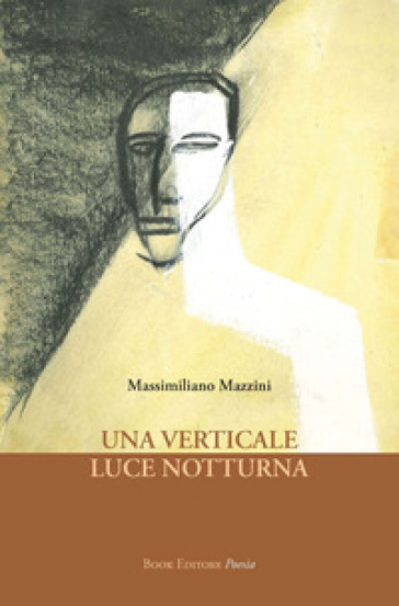 Una verticale luce notturna