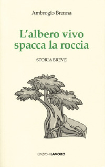 L'albero vivo spacca la roccia