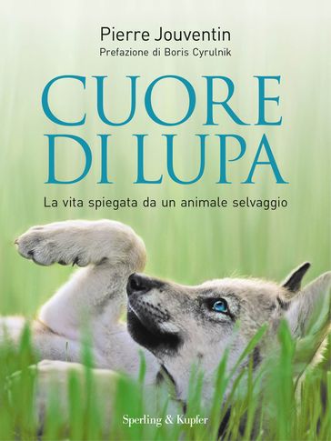 Cuore di lupa