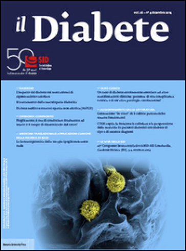 Il diabete. Vol. 26/4