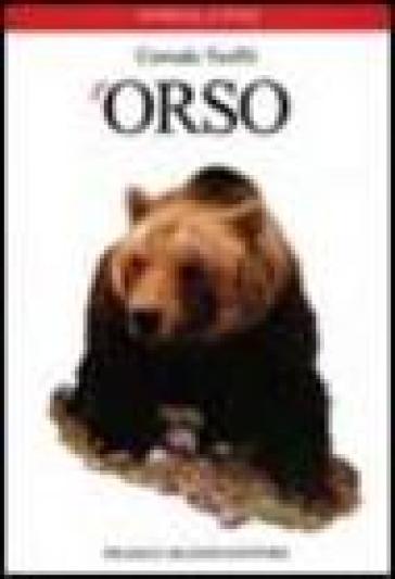 L'orso