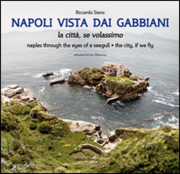 Napoli vista dai gabbiani. La città se volassimo. Ediz. bilingue