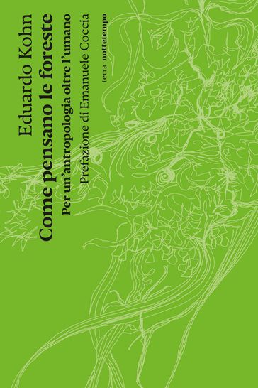 Come pensano le foreste