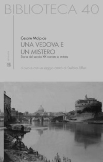Una vedova e un mistero. Storia del secolo XIX narrata e imitata