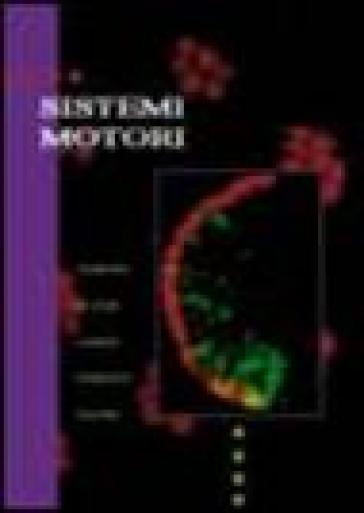 Sistemi Motori