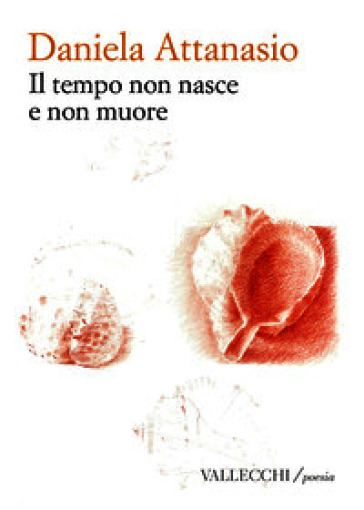Il tempo non nasce e non muore