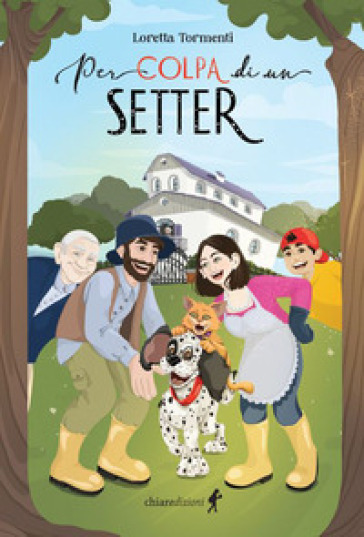 Per colpa di un setter